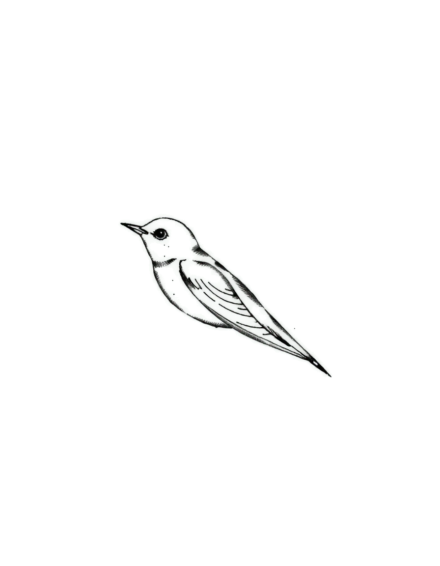 a small black ink swallow