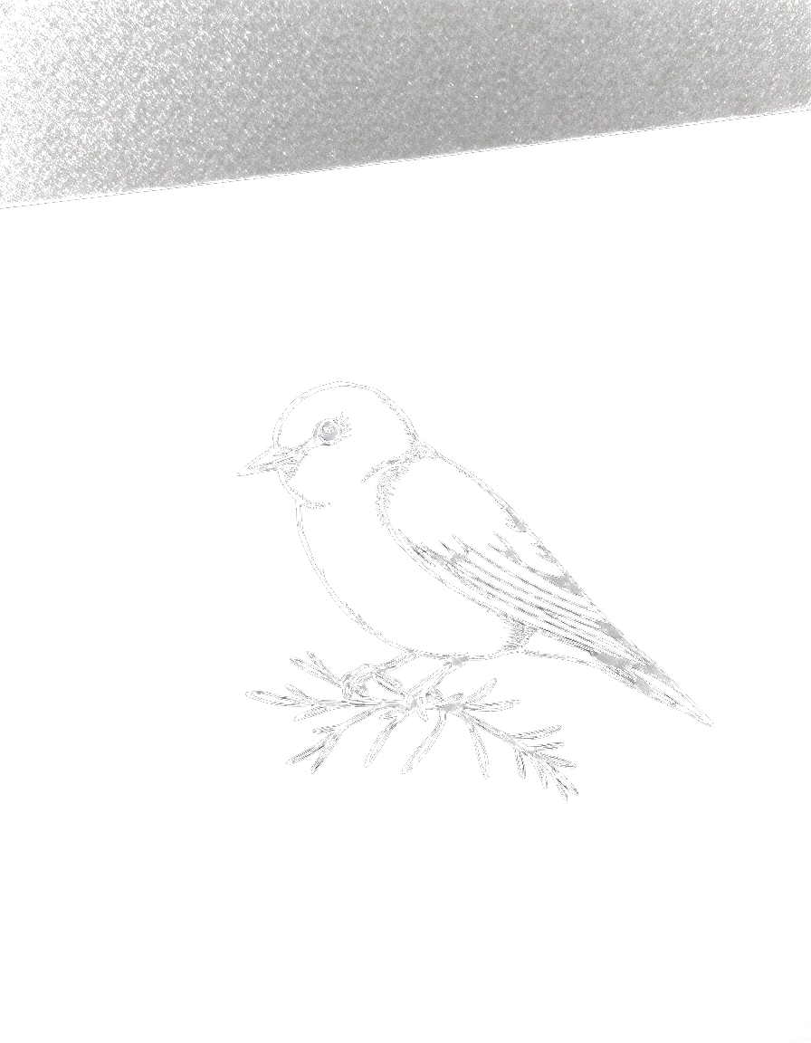 a small black ink swallow with a sprig of rosemary