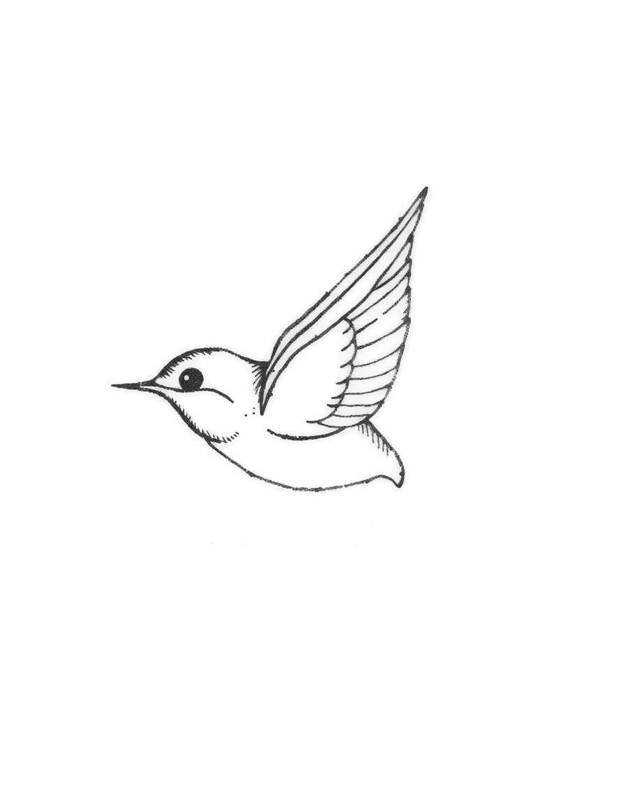 a small black ink swallow