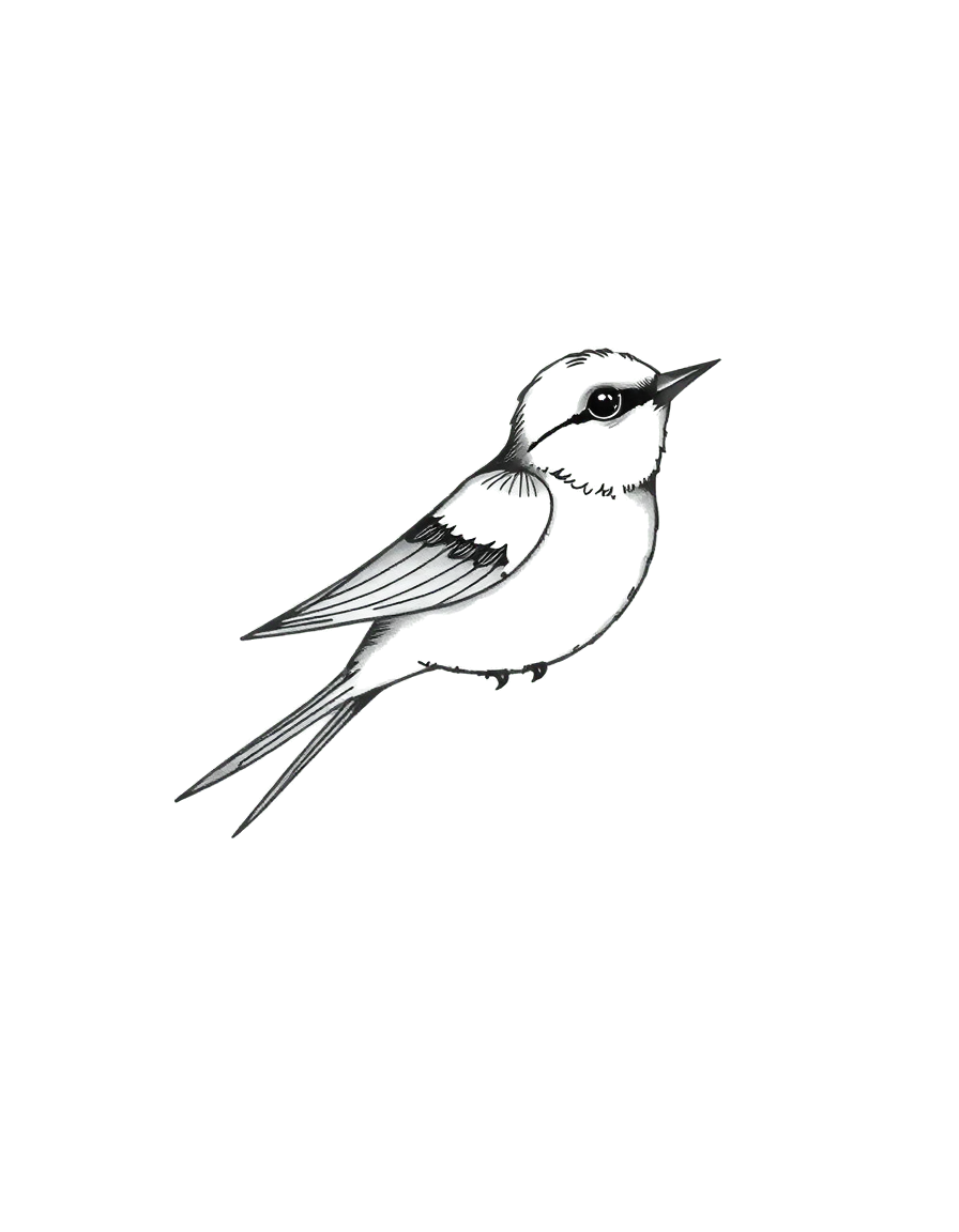 a small black ink swallow with a sprig of rosemary
